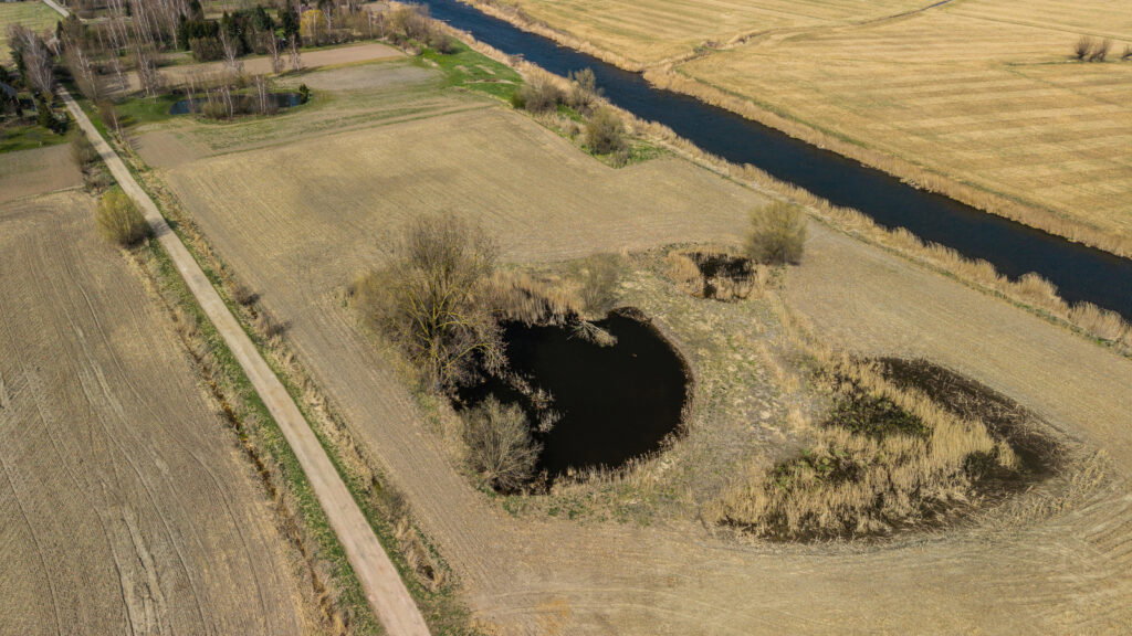 Działka o pow. 4642m2 w Stobcu gmina Stegna - zdjęcie 9