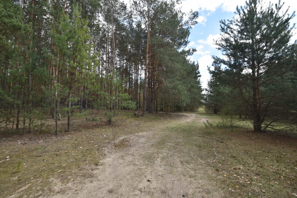 Działka budowlana z MPZP - zdjęcie 5