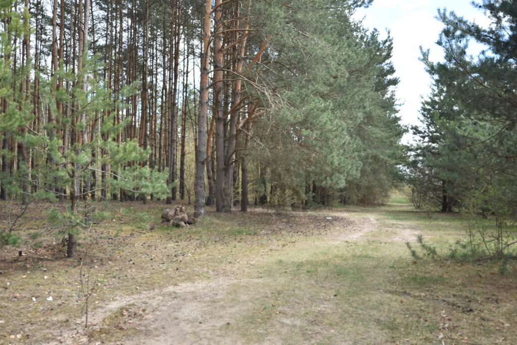 Działka budowlana z MPZP - zdjęcie 6