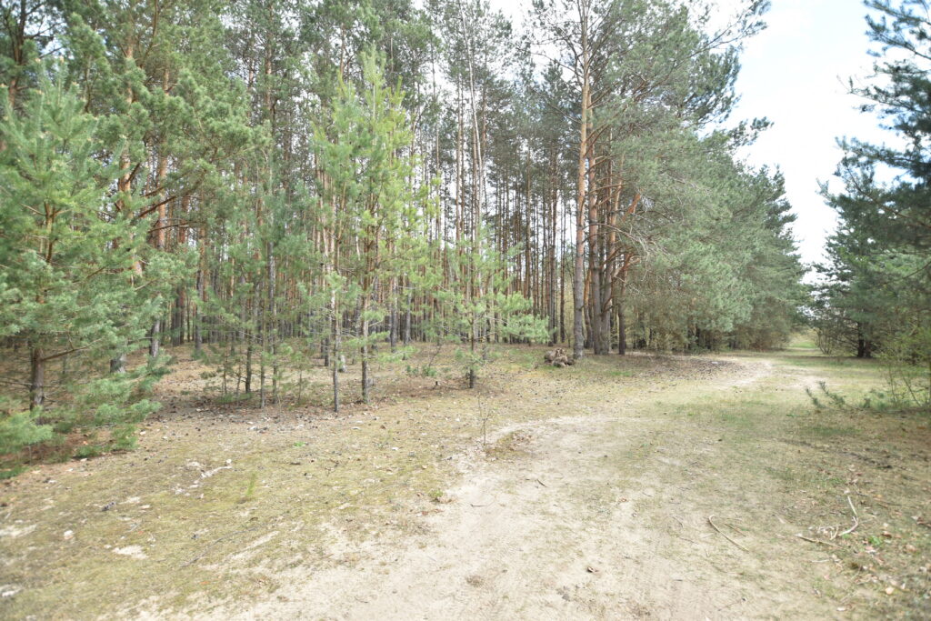 Działka budowlana z MPZP - zdjęcie 7