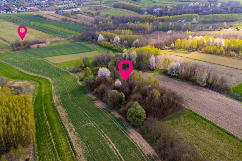 Grunty rolno-leśne ok. 1 ha Góra Ropczycka - zdjęcie 3