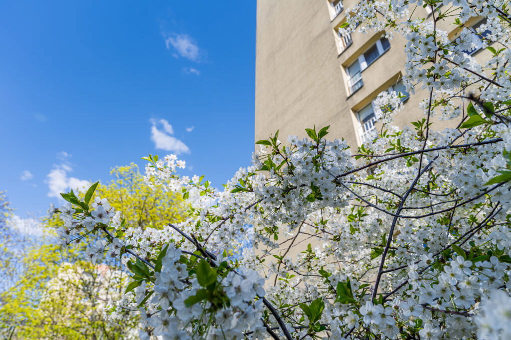 Mokotów, ul. Kaukaska | 42,2 m² | 2 pokoje - zdjęcie 14