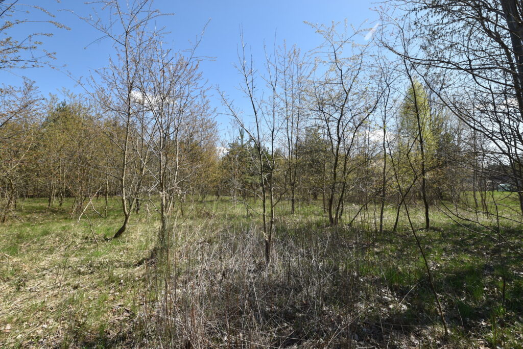 Atrakcyjna działka pod dom 1434 m² Ostrowiec Św. - zdjęcie 9