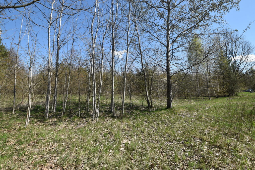 Atrakcyjna działka pod dom 1434 m² Ostrowiec Św. - zdjęcie 7