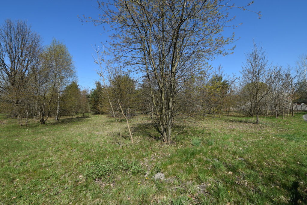Atrakcyjna działka pod dom 1434 m² Ostrowiec Św. - zdjęcie 6