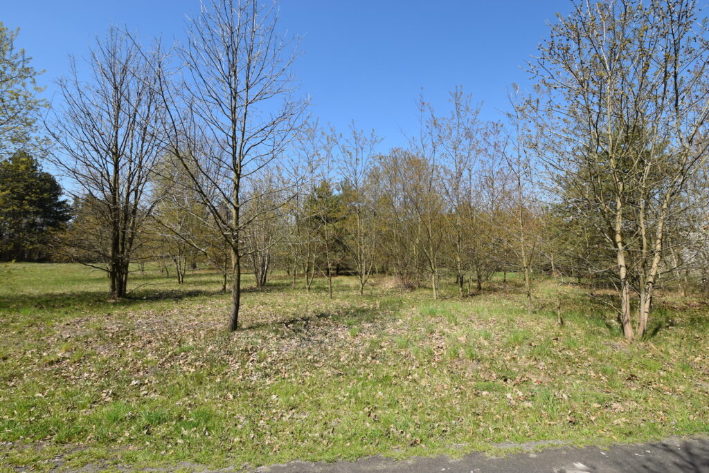 Atrakcyjna działka pod dom 1434 m² Ostrowiec Św. - zdjęcie 2