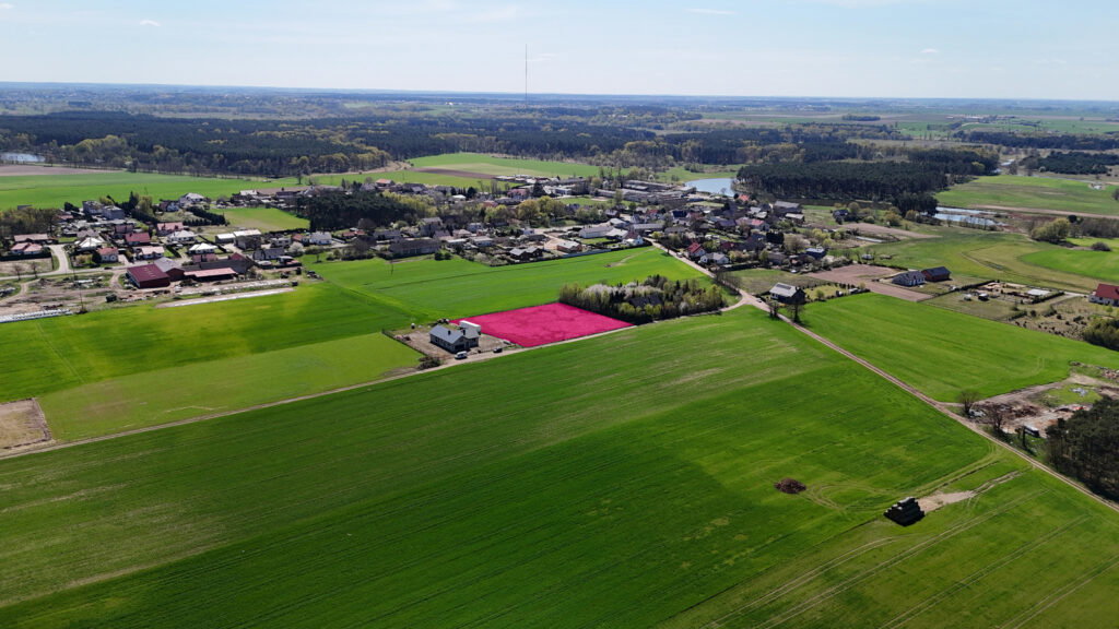 Działka budowlana 4042 m² Niesłabin | MPZP | Las - zdjęcie 3