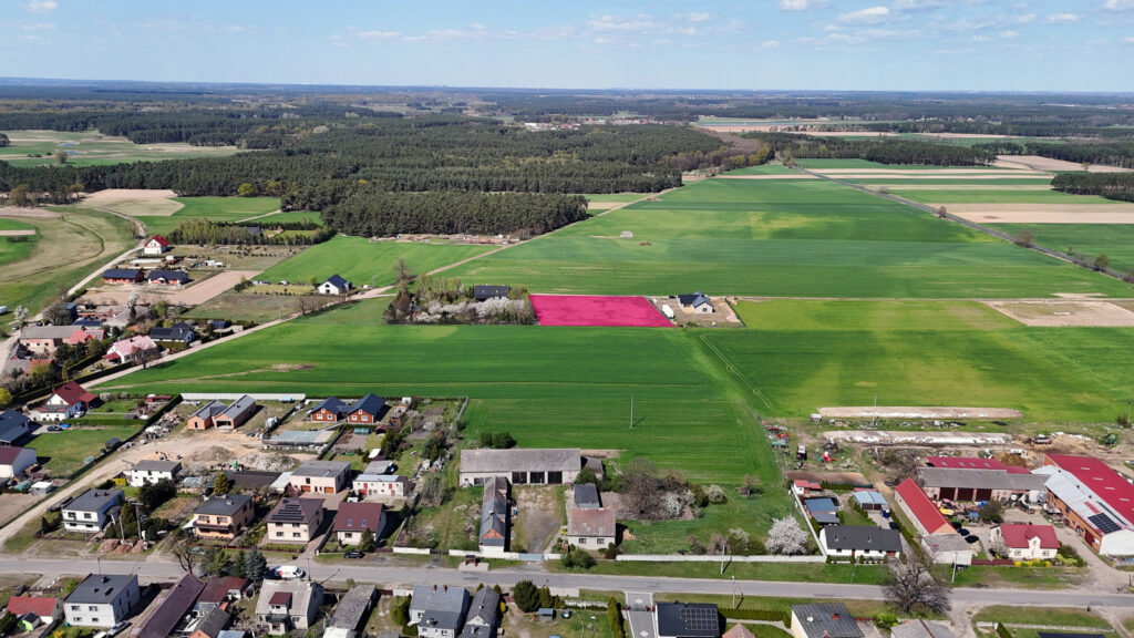 Działka budowlana 4042 m² Niesłabin | MPZP | Las - zdjęcie 6