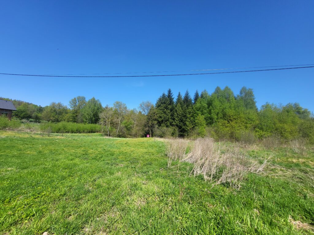Działka przy lesie - zdjęcie 2