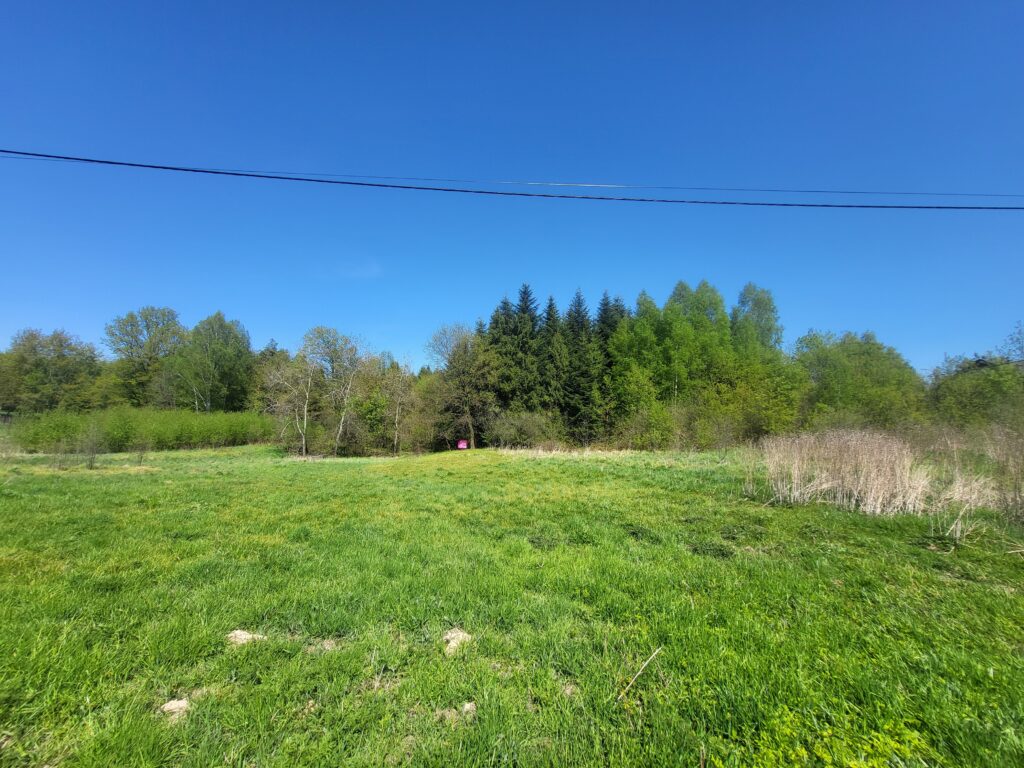 Działka przy lesie - zdjęcie 3