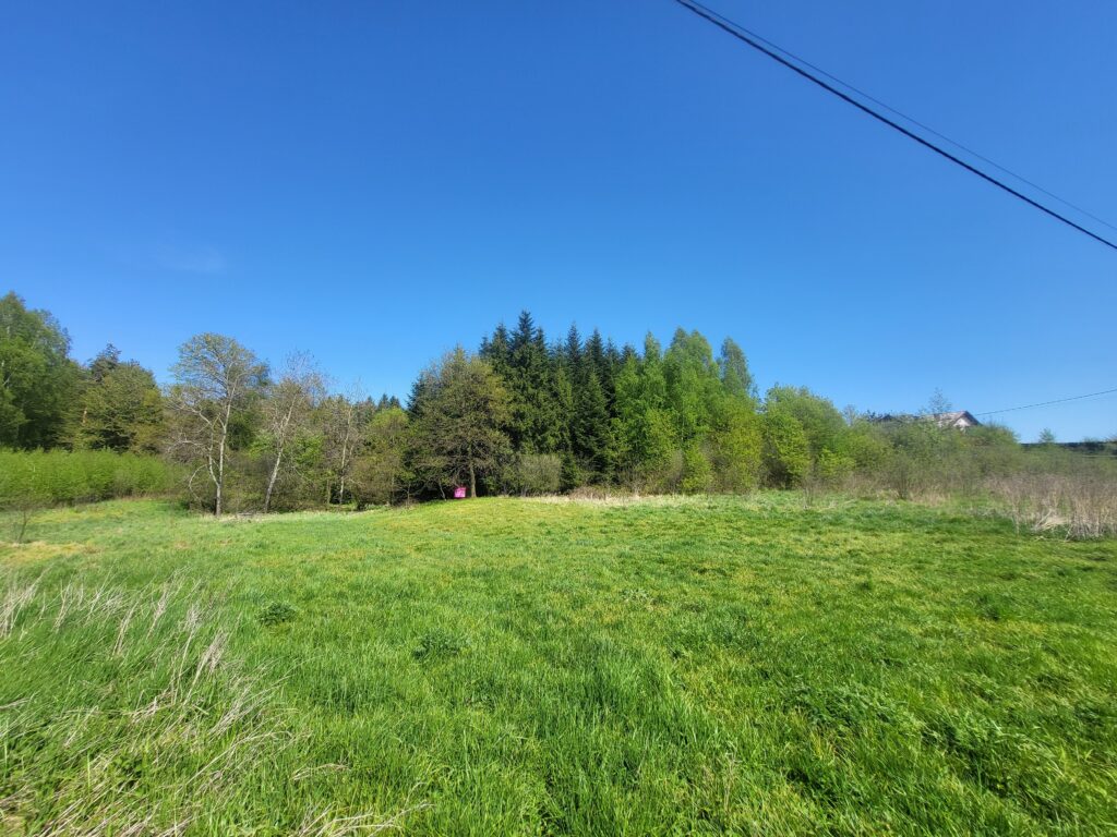 Działka przy lesie - zdjęcie 4