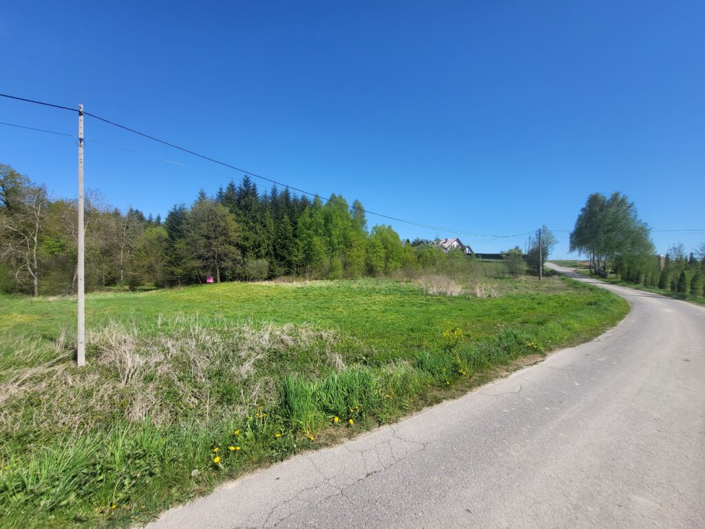 Działka przy lesie - zdjęcie 14