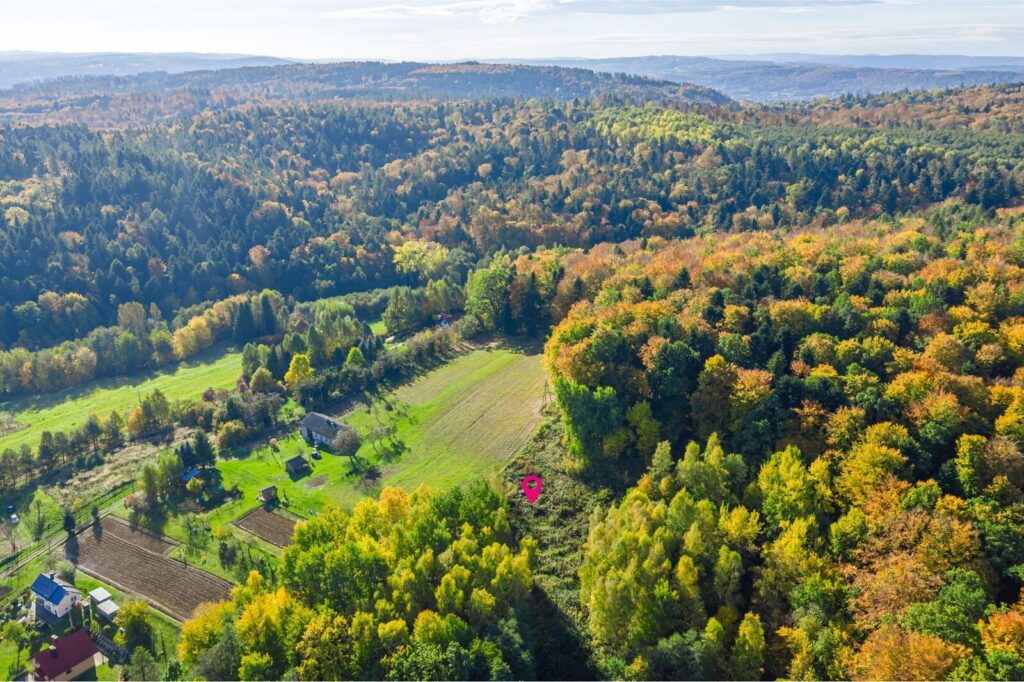 3 działki, 3 WZ | Mogielnica - zdjęcie 5
