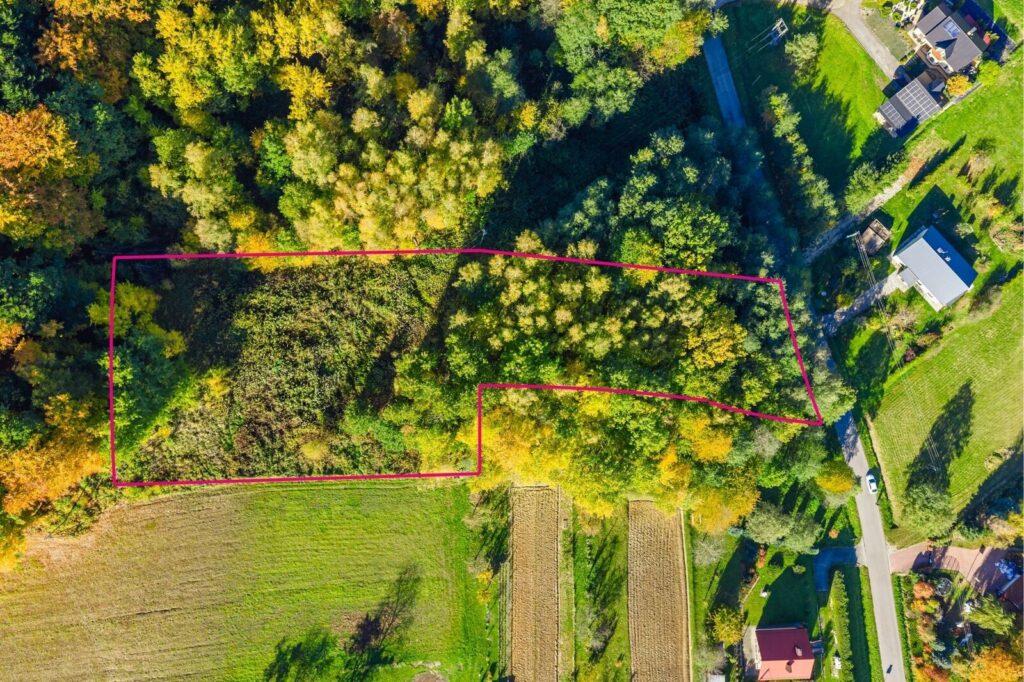 3 działki, 3 WZ | Mogielnica - zdjęcie 3
