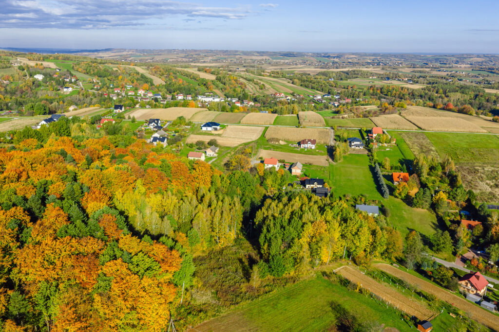 3 działki, 3 WZ | Mogielnica - zdjęcie 7