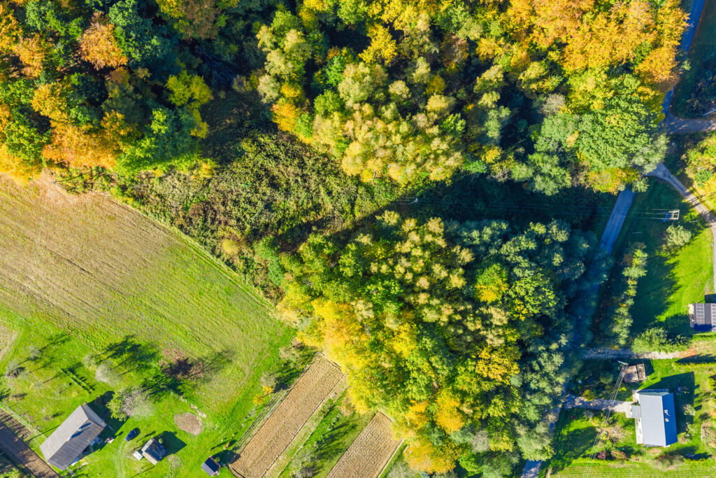 3 działki, 3 WZ | Mogielnica - zdjęcie 10