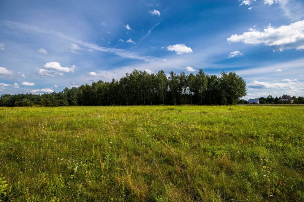 Działka inwestycyjna 68a Rakszawa WZ - zdjęcie 2