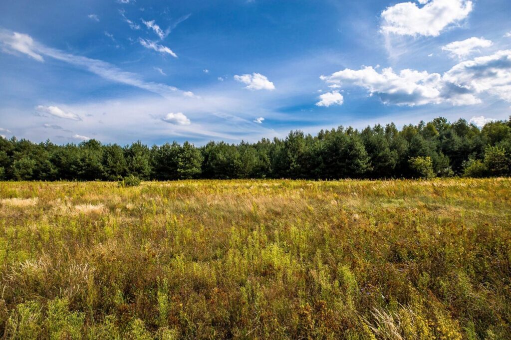 Działka inwestycyjna 68a Rakszawa WZ - zdjęcie 6