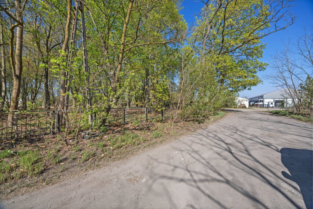 Zabytkowy park 1,2 ha | 29 km od Warszawy - zdjęcie 6