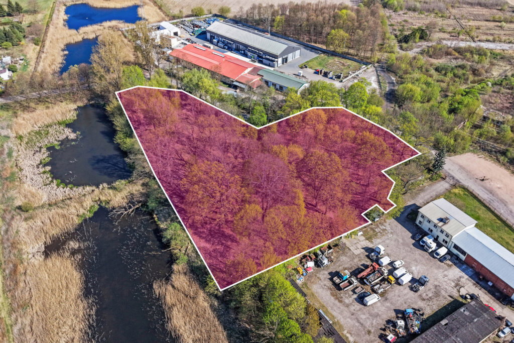 Zabytkowy park 1,2 ha | 29 km od Warszawy - zdjęcie 3