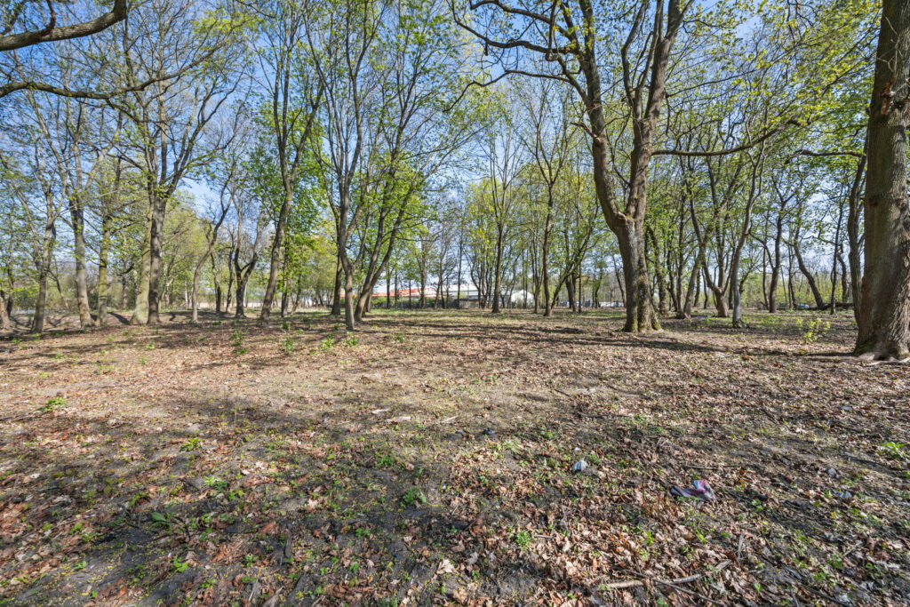 Zabytkowy park 1,2 ha | 29 km od Warszawy - zdjęcie 4
