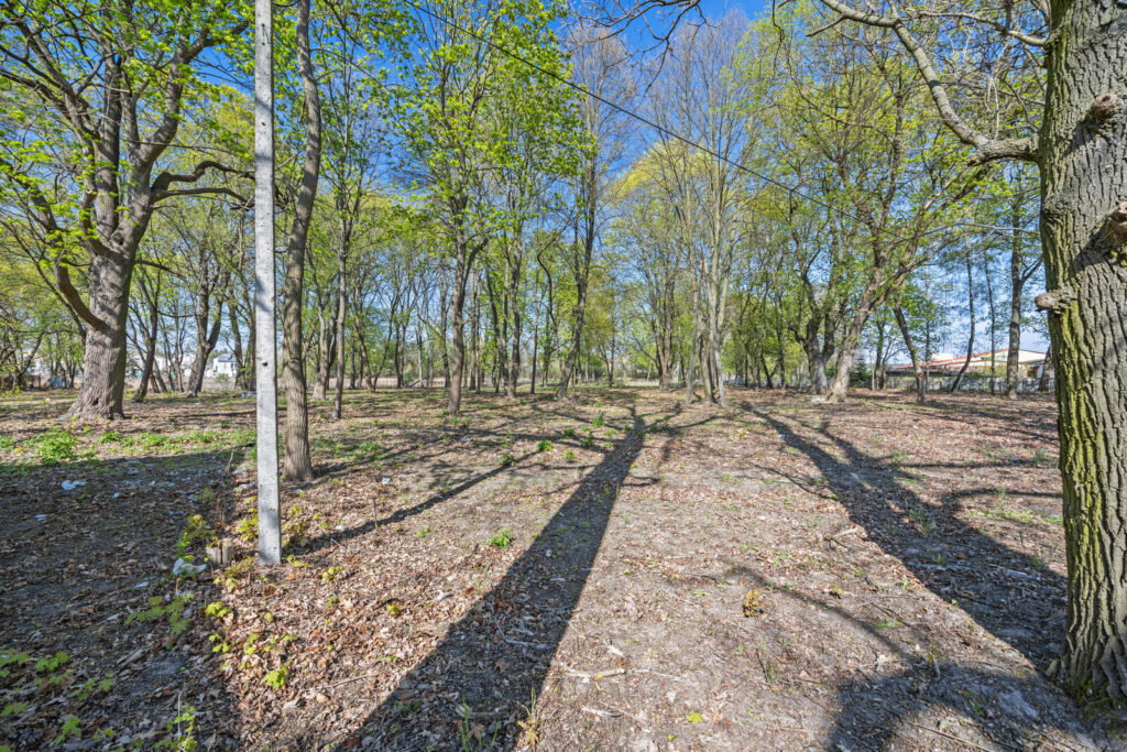 Zabytkowy park 1,2 ha | 29 km od Warszawy - zdjęcie 5