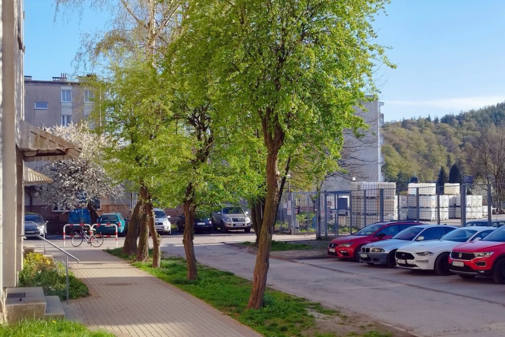 Dwa w cenie jednego - gotowe do zamieszkania! - zdjęcie 3