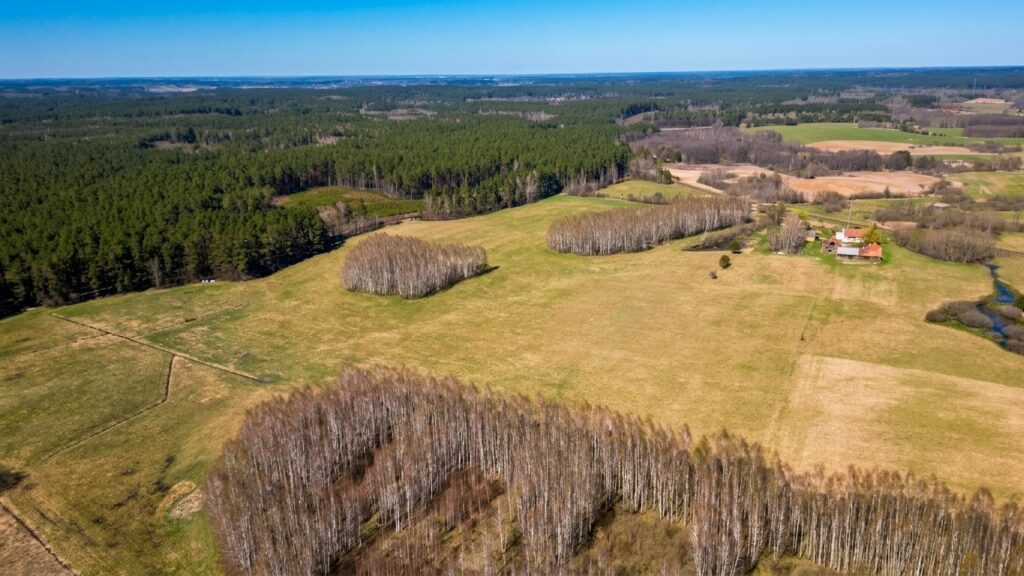 Duża działka 13,67 ha w malowniczej miejscowości - zdjęcie 10