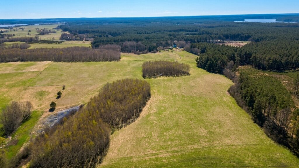 Duża działka 13,67 ha w malowniczej miejscowości - zdjęcie 13