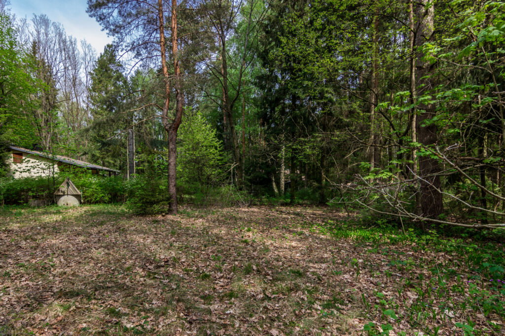 Działka budowlana  999 m2 w Niewodnicy Kościelnej - zdjęcie 3