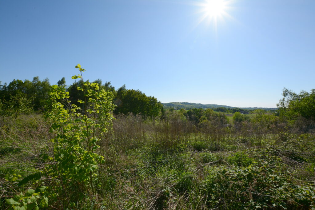 Działka budowlana z widokiem - zdjęcie 3