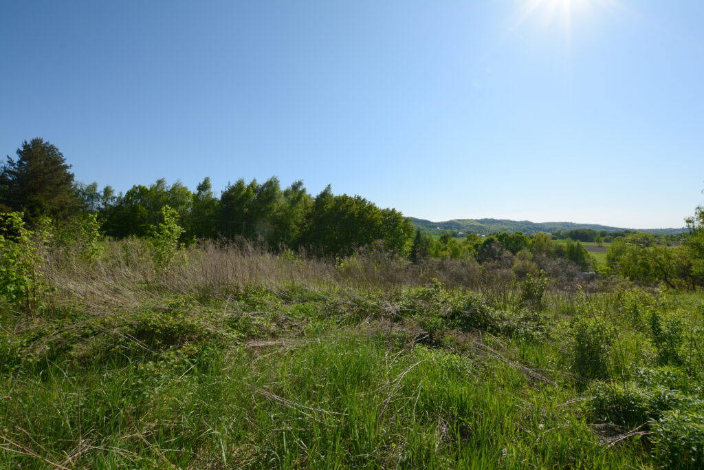 Działka budowlana z widokiem - zdjęcie 4