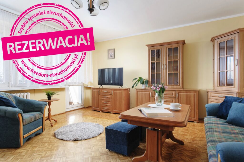Dzień pokazowy 12.05.2026 - zdjęcie 1