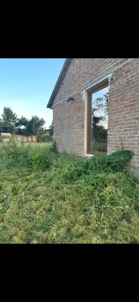 Na sprzedaż siedlisko 0,17 ha,Ludwinów k.Nałęczowa - zdjęcie 10