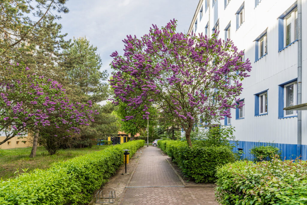 3 pokoje blisko stacji w Milanówku - zdjęcie 14