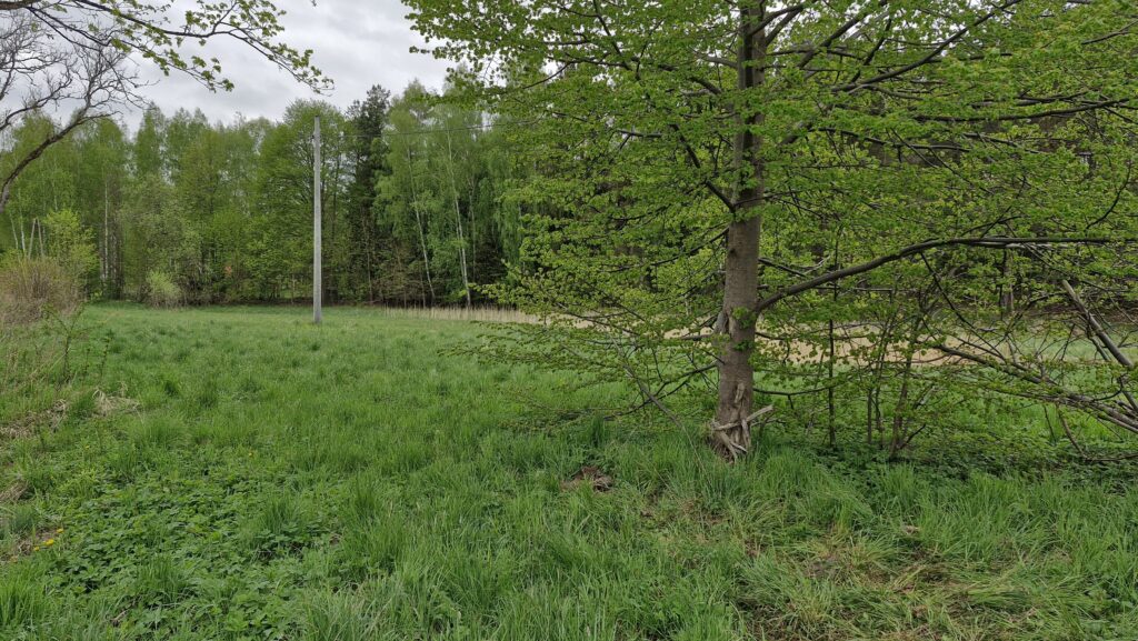 Działka budowlana przy lesie Warmia Mazury do negocjacji - zdjęcie 10