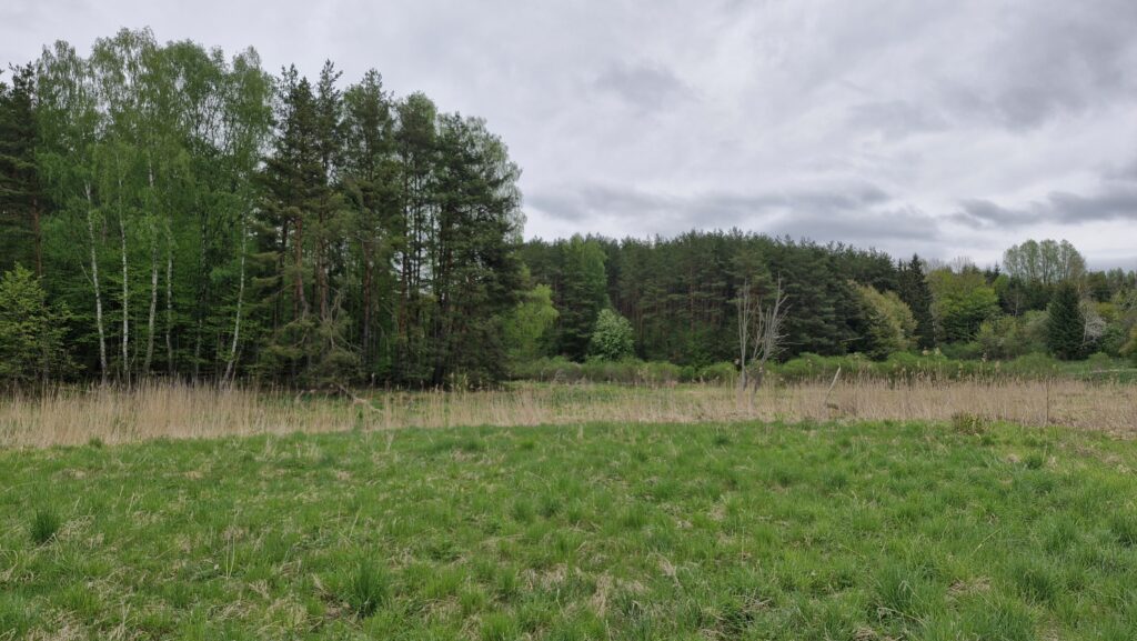 Działka budowlana przy lesie Warmia Mazury do negocjacji - zdjęcie 11