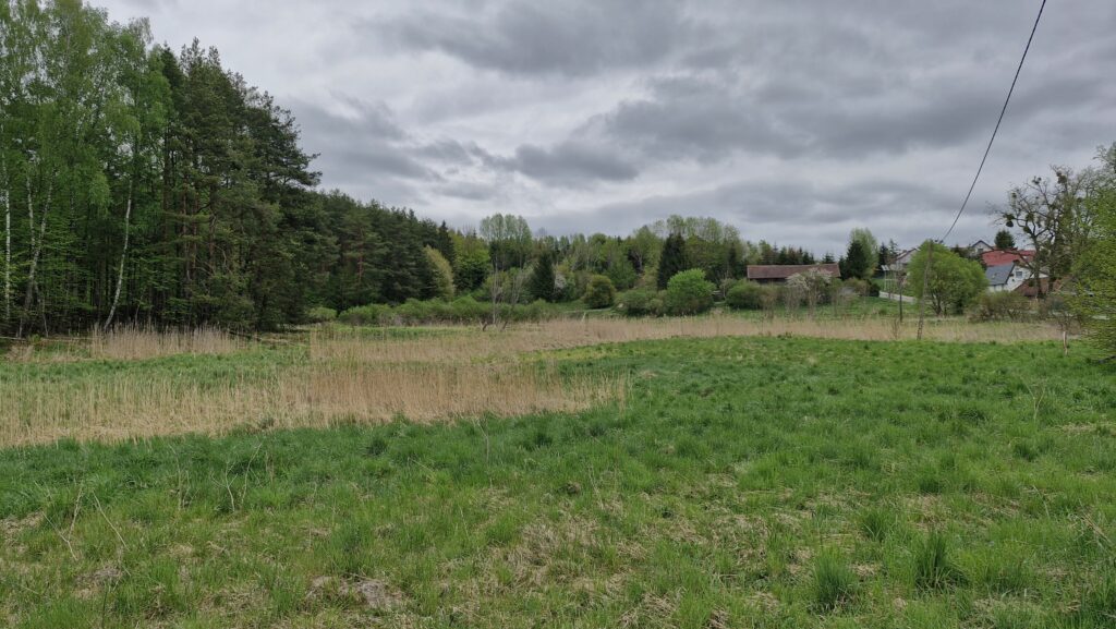 Działka budowlana przy lesie Warmia Mazury do negocjacji - zdjęcie 12