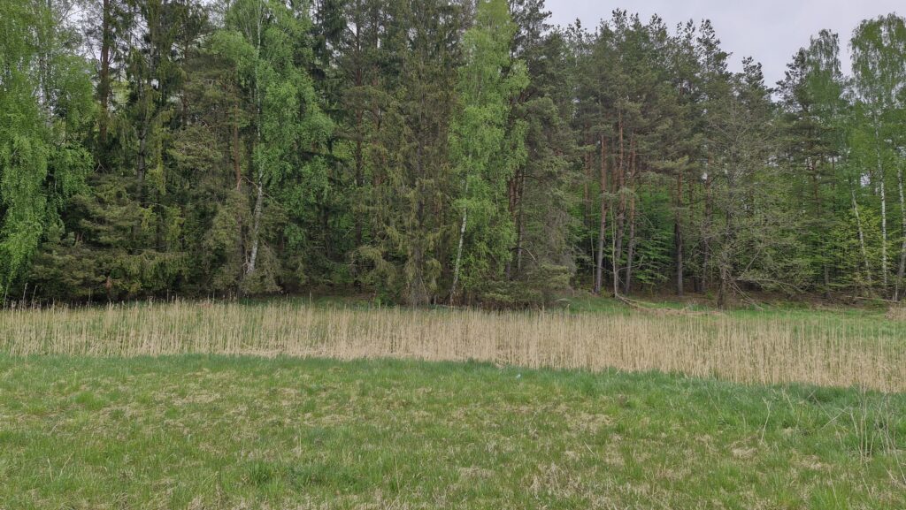 Działka budowlana przy lesie Warmia Mazury do negocjacji - zdjęcie 14