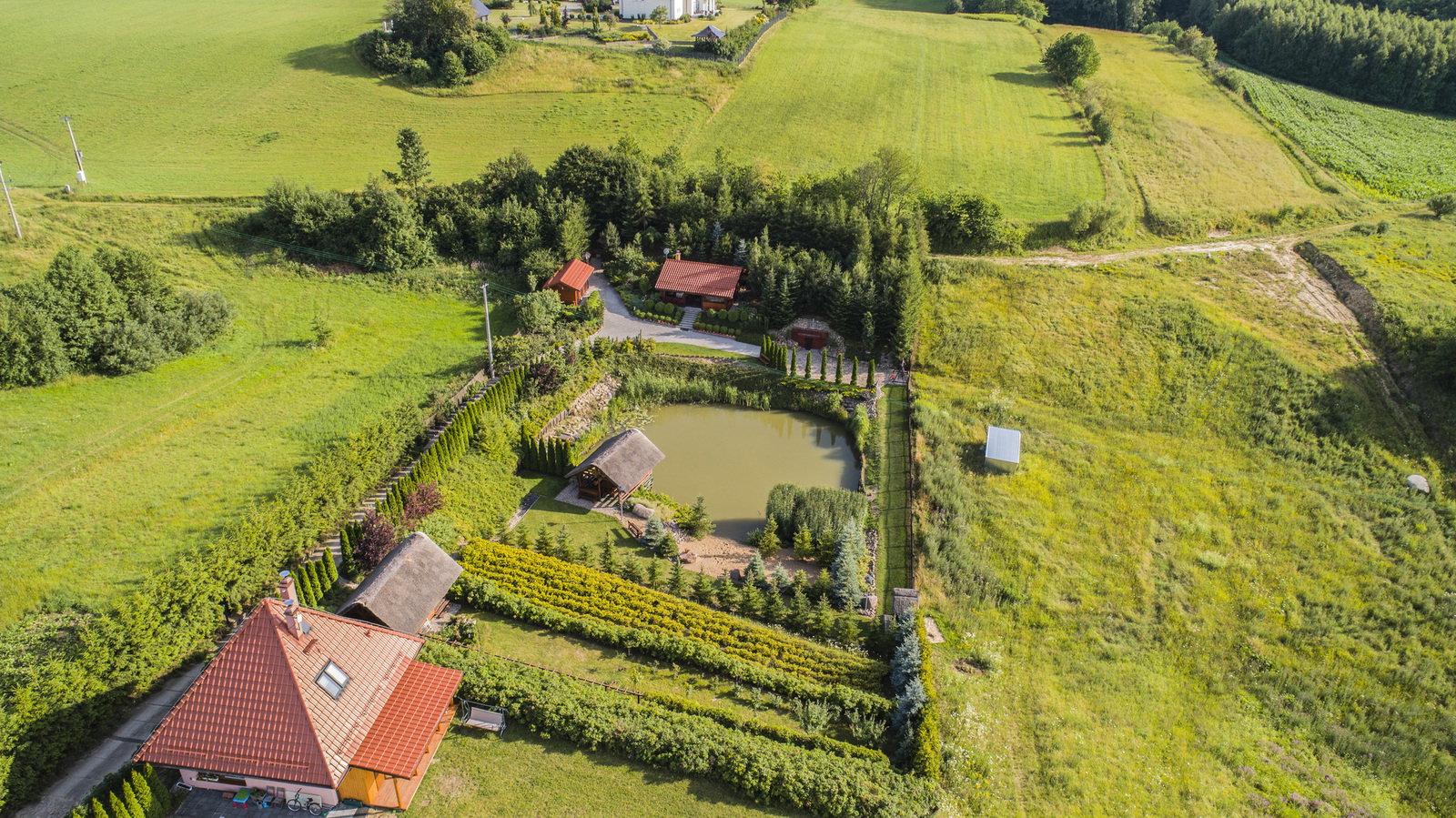 Zdjęcie 23
