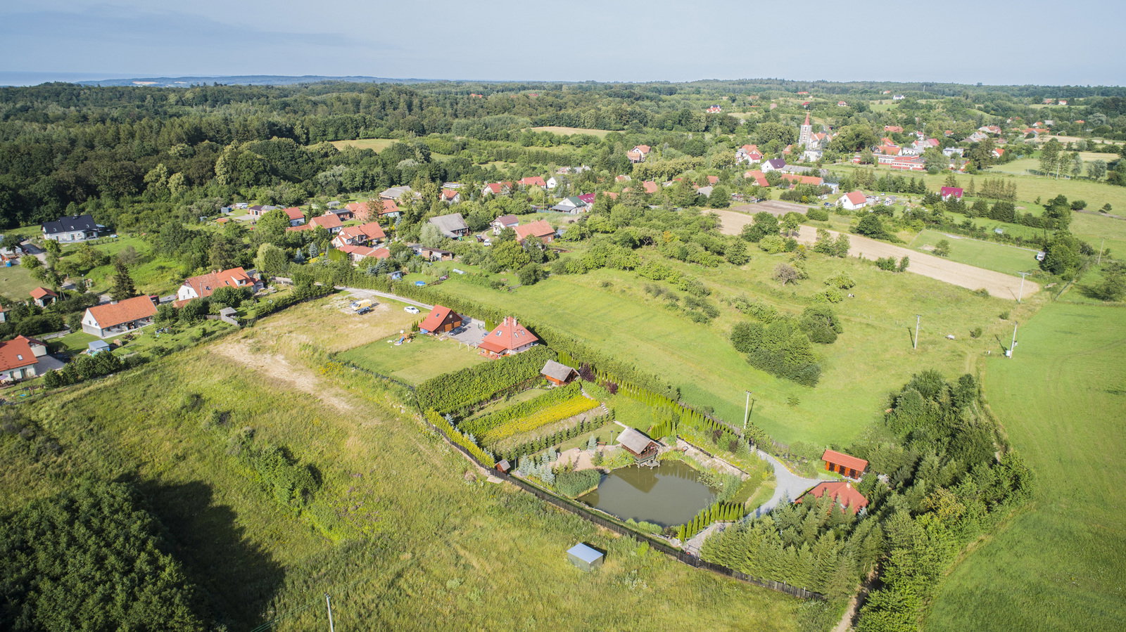 Zdjęcie 11