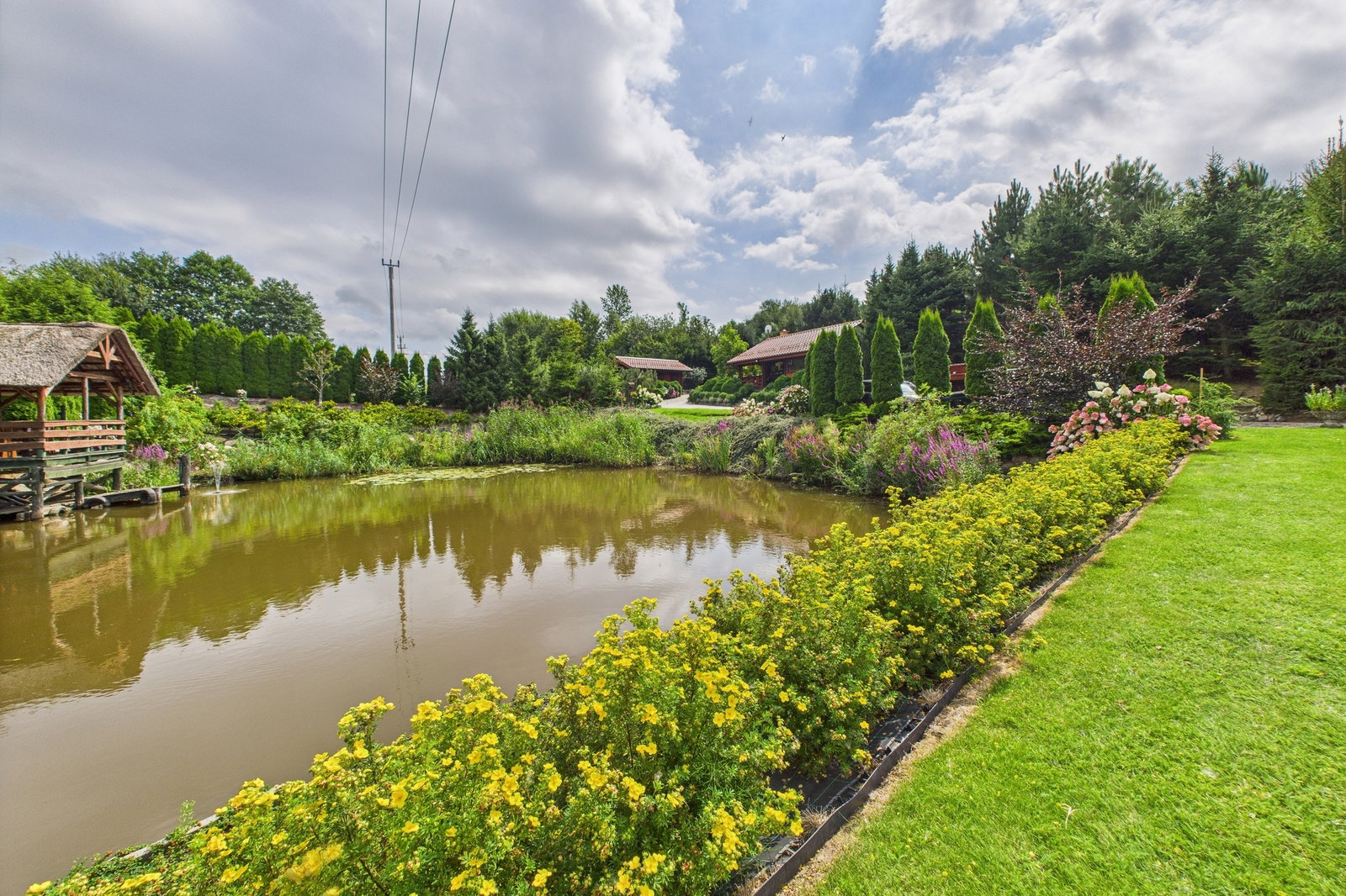 Zdjęcie 16