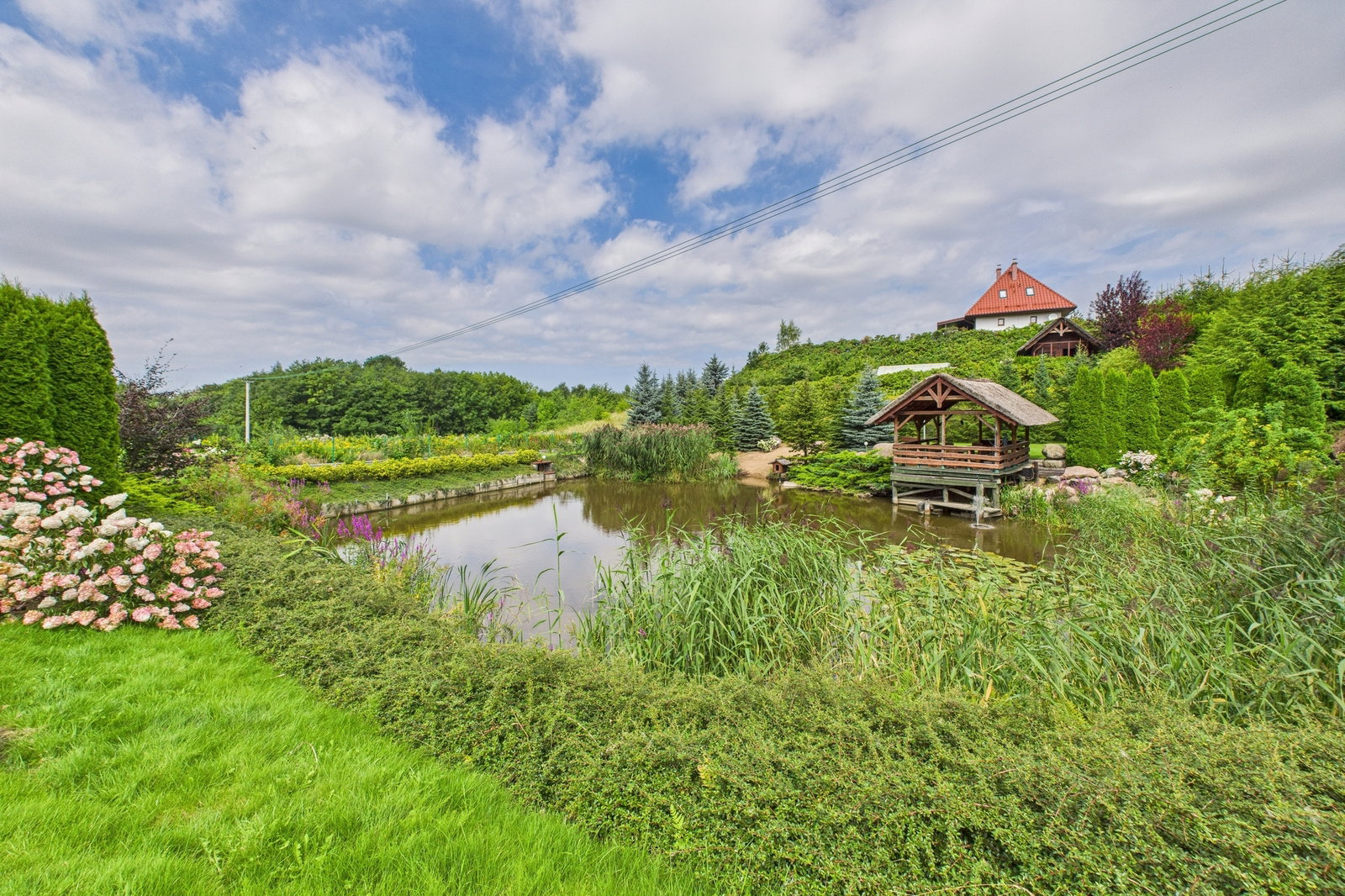 Zdjęcie 28