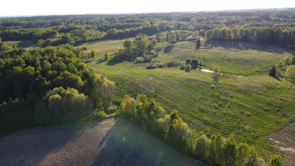10 ha pod 6 siedlisk | Drawski Park Krajobrazowy - zdjęcie 3