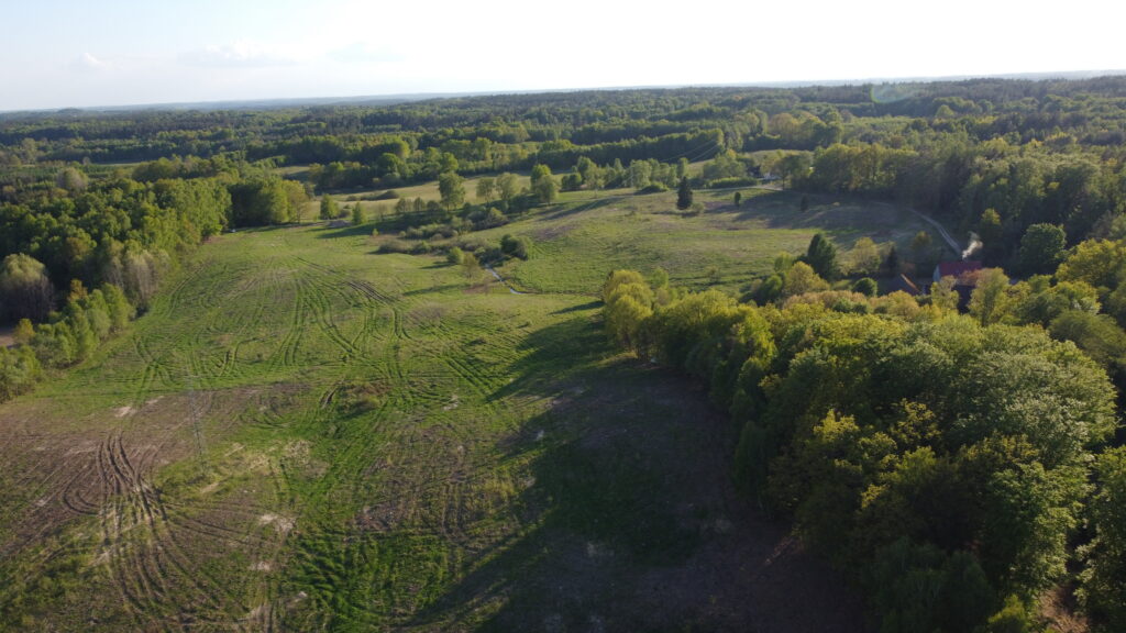 10 ha pod 6 siedlisk | Drawski Park Krajobrazowy - zdjęcie 5