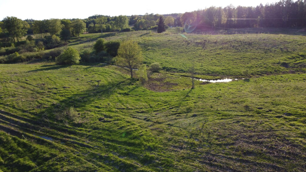 10 ha pod 6 siedlisk | Drawski Park Krajobrazowy - zdjęcie 8
