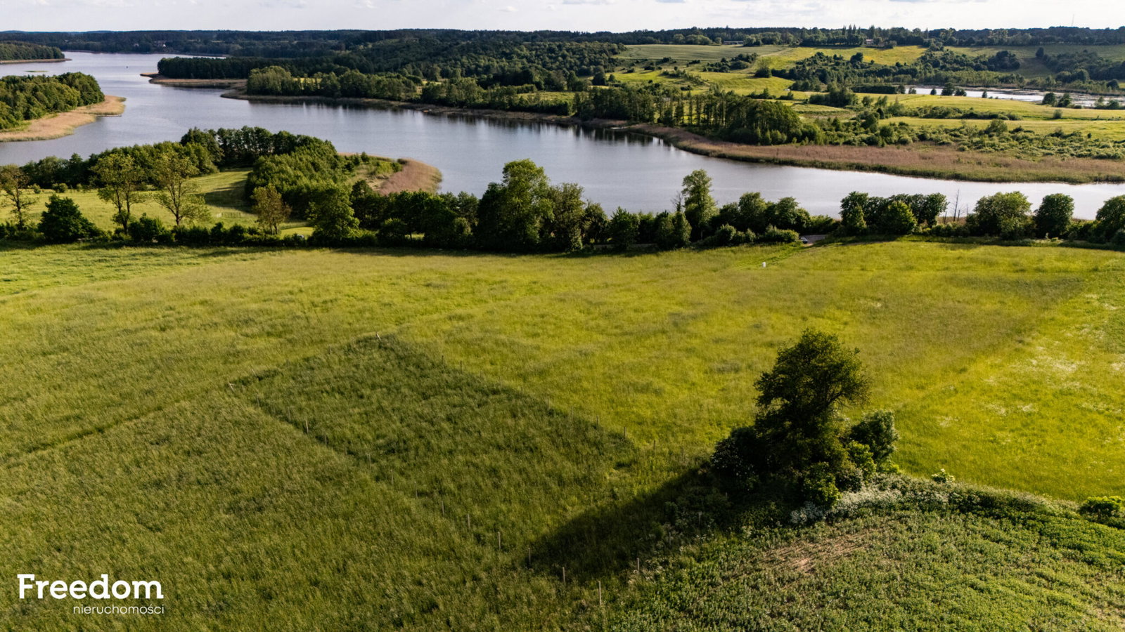 Zdjęcie 14