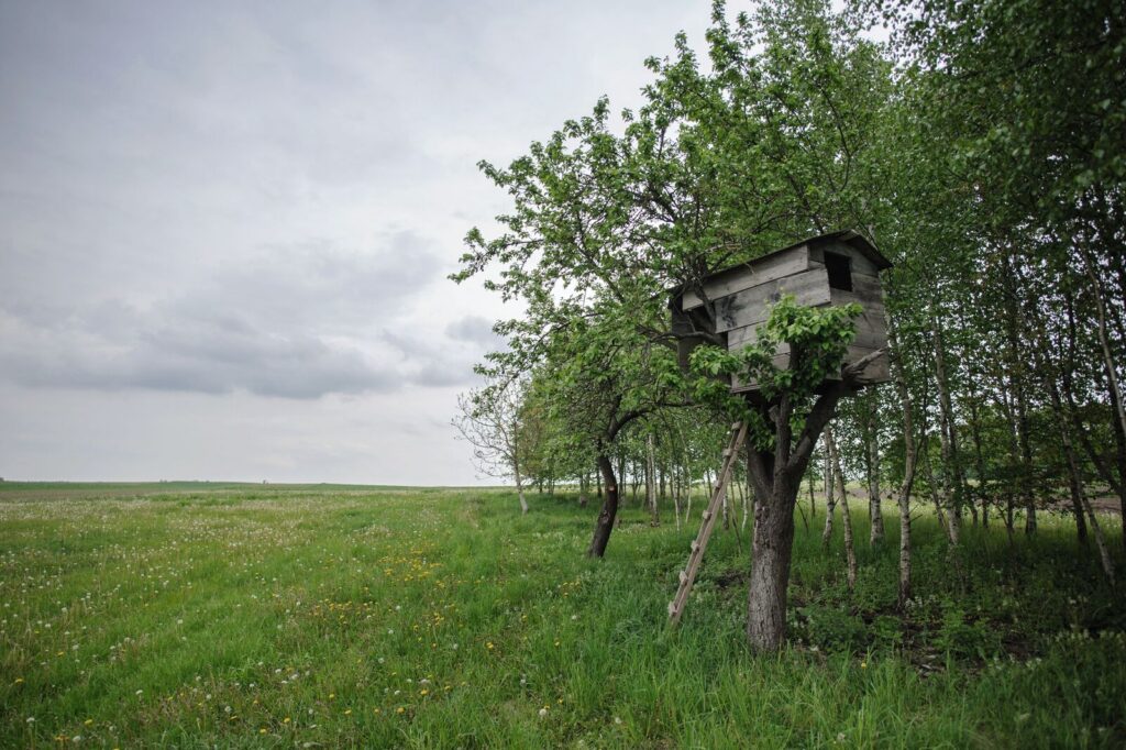 Dzień pokazowy 14.08.2026r - zdjęcie 17