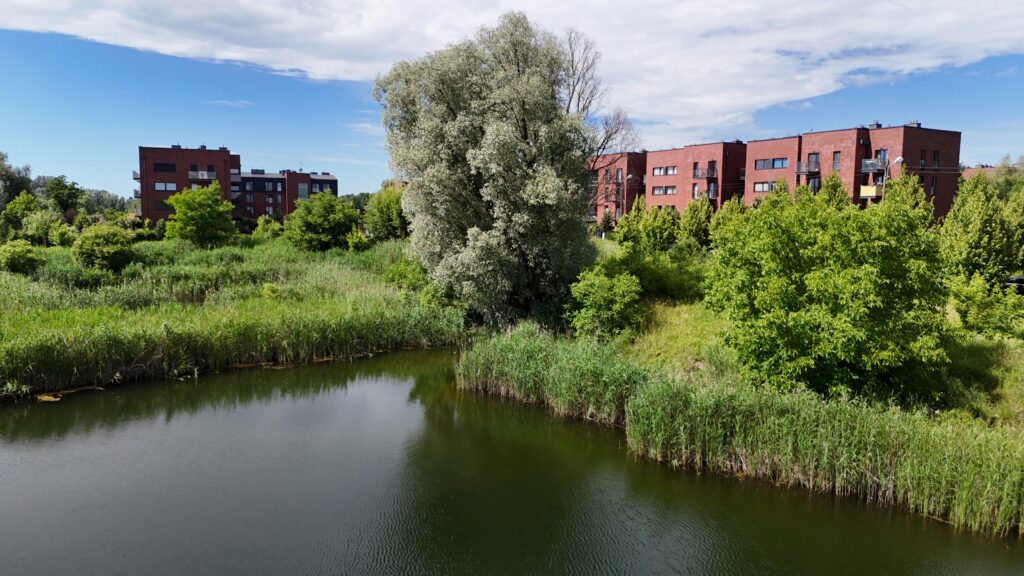 Stara Cegielnia | 2 ogródki | Prywatny park - zdjęcie 15