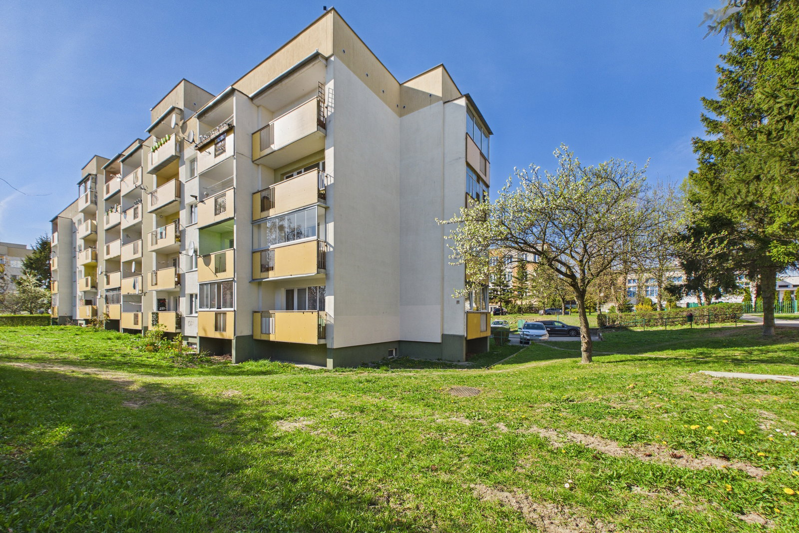 Zdjęcie 27